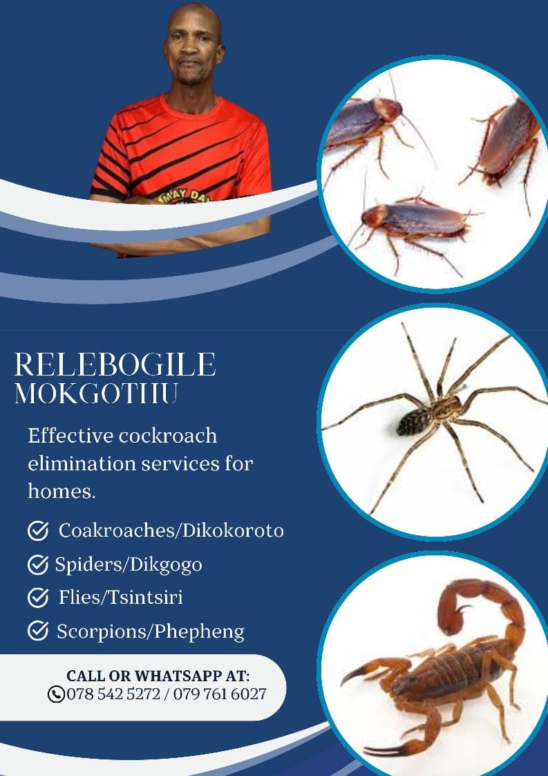 Pest Control Business Poster